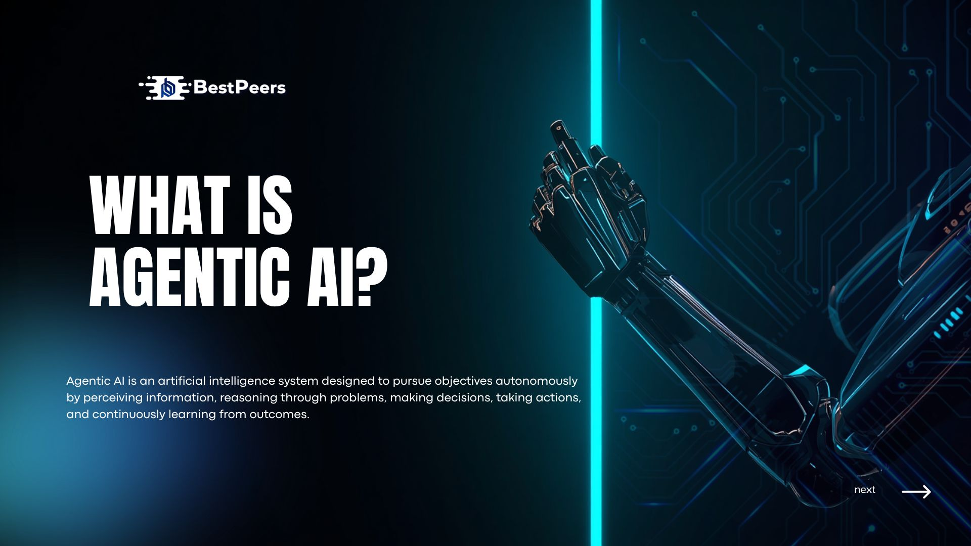 What is Agentic AI